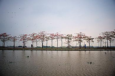 《尘封大陆》自定义及装甲预告 8月10日发售